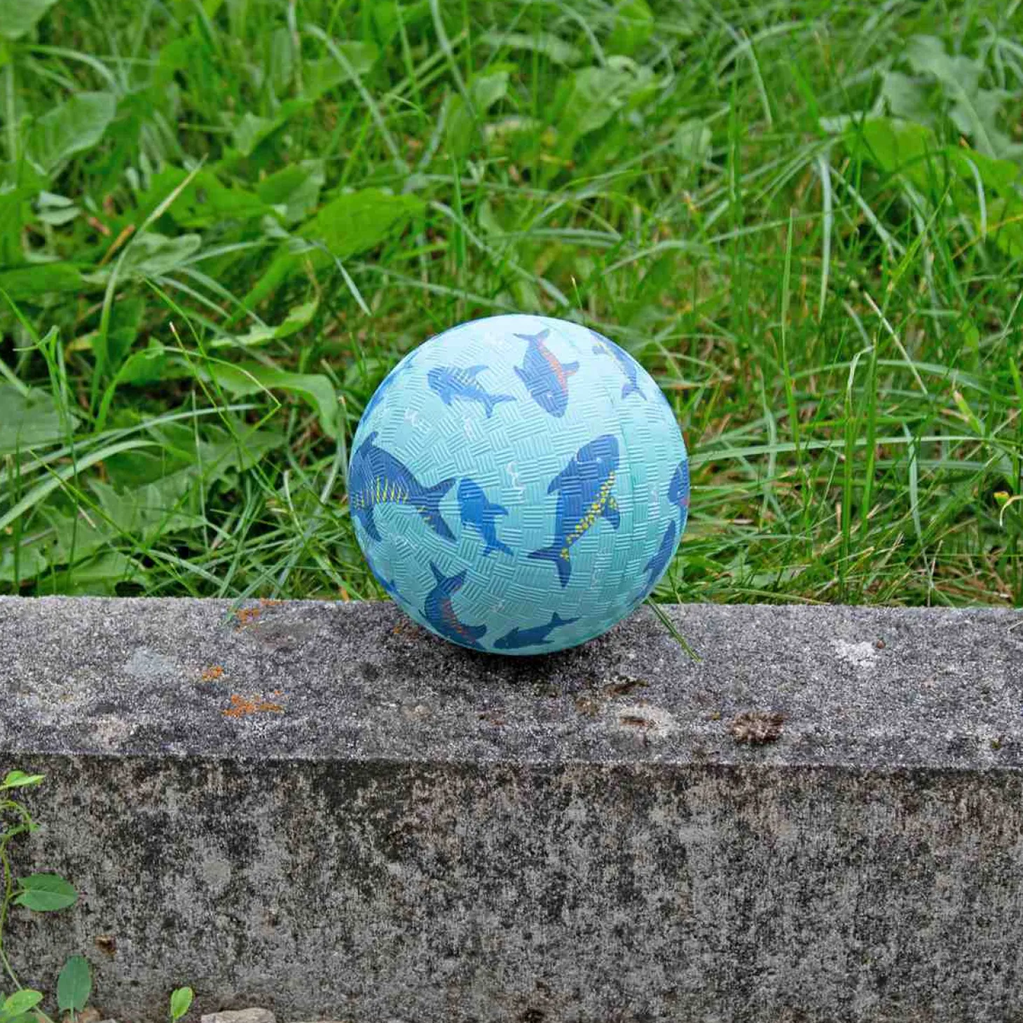Ball Hai Naturkautschuk Ø 12cm