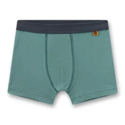 Boxershorts 2er-Pack "Tiger" eukalyptus 116