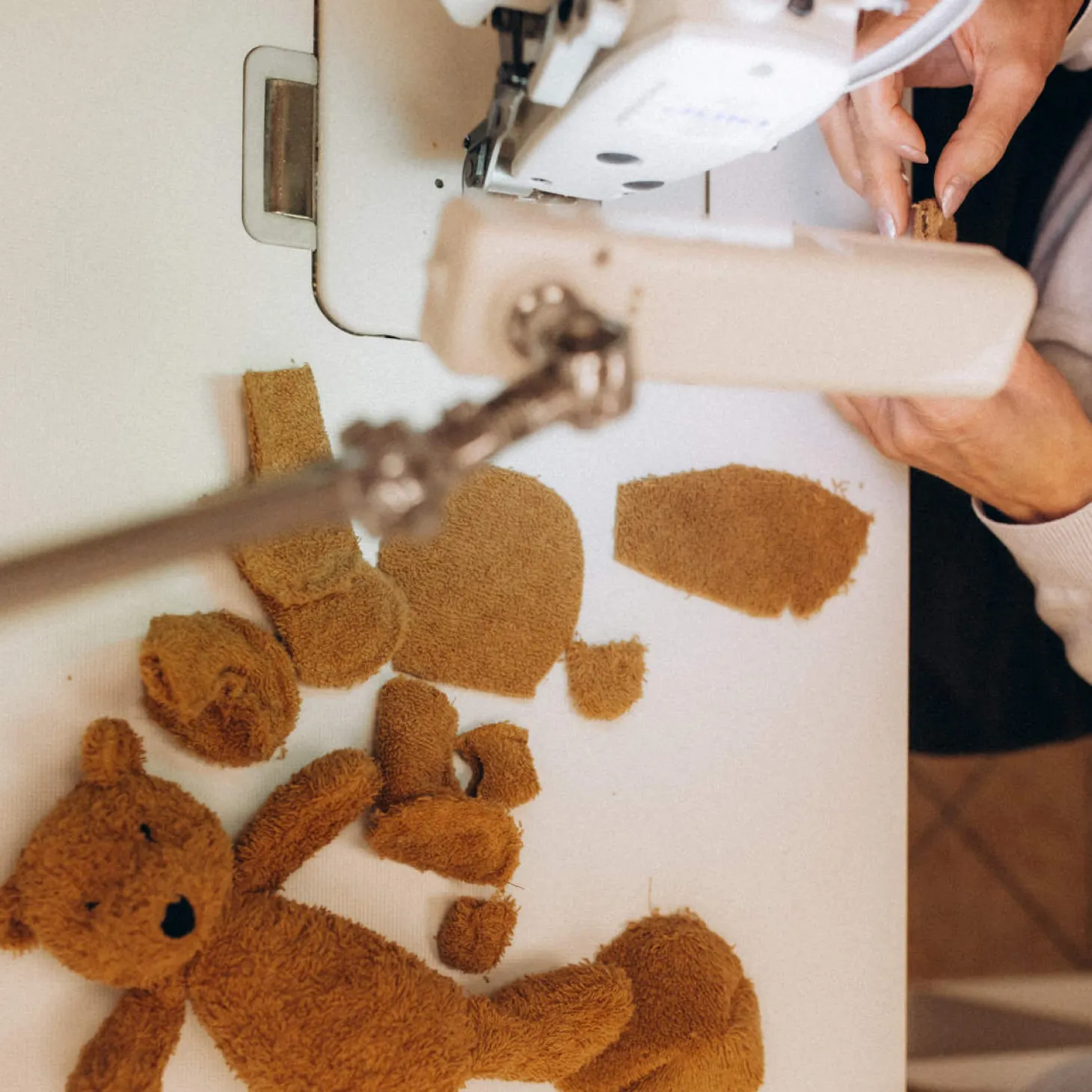 Kuscheltier Teddy