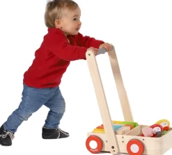 Lauflernwagen Holz Papageien