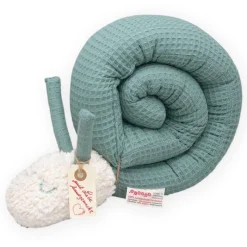 Nestchenschnecke 