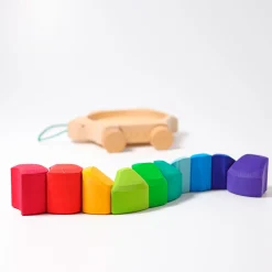 Regenbogen Schildkröte zum Nachziehen