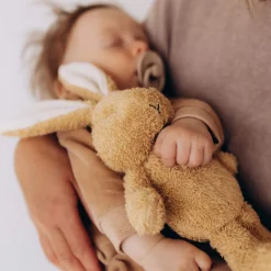 Kuscheltier Hase