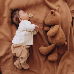 Kuscheltier Teddy