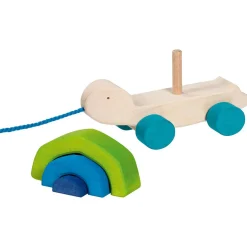 Ziehtier Schildkröte