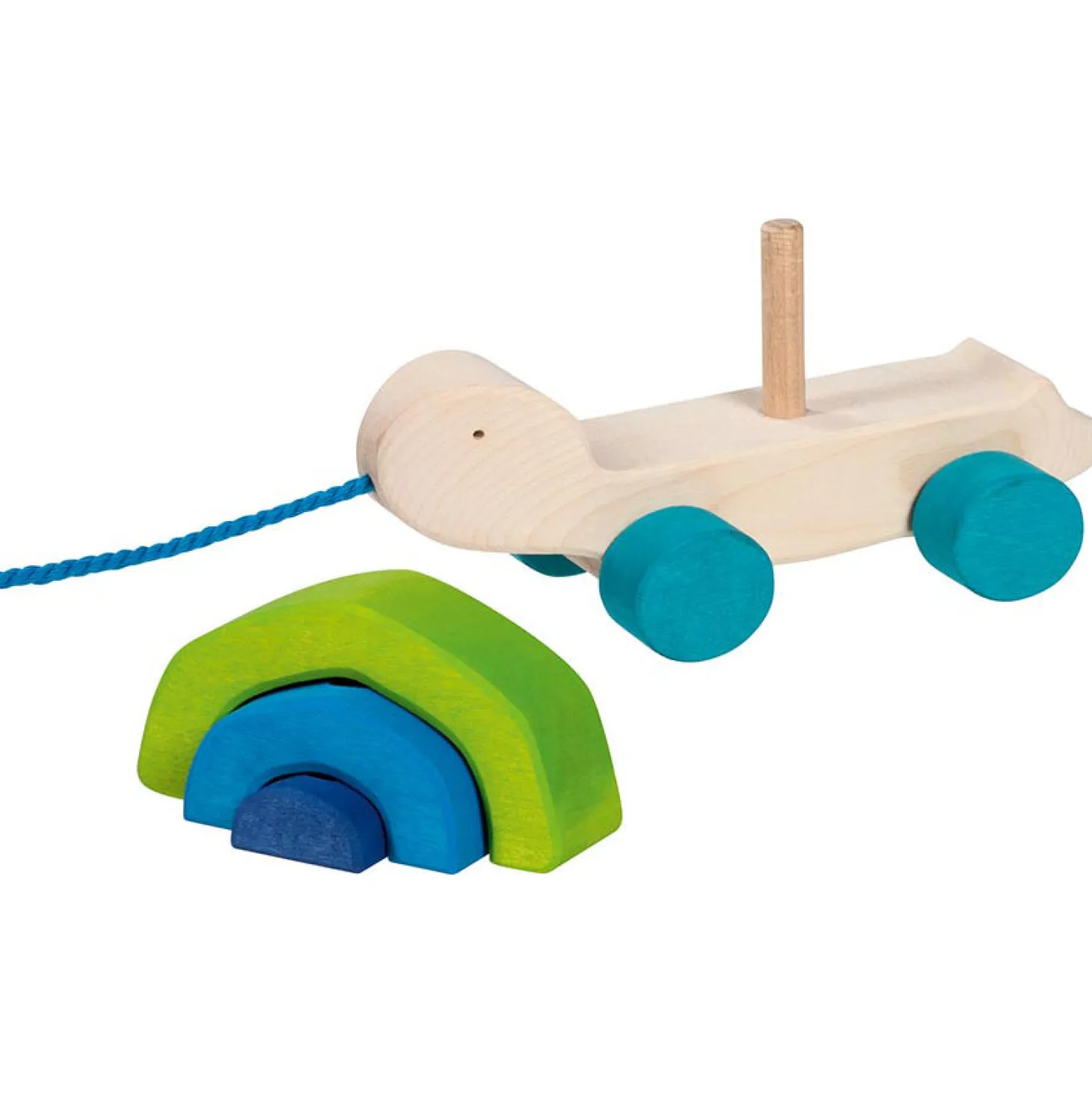 Ziehtier Schildkröte "Tortuga"
