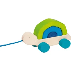 Ziehtier Schildkröte